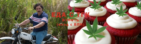 прущие грибы Абинск