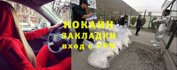 прущие грибы Абинск