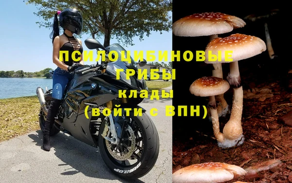 спайс Алексин